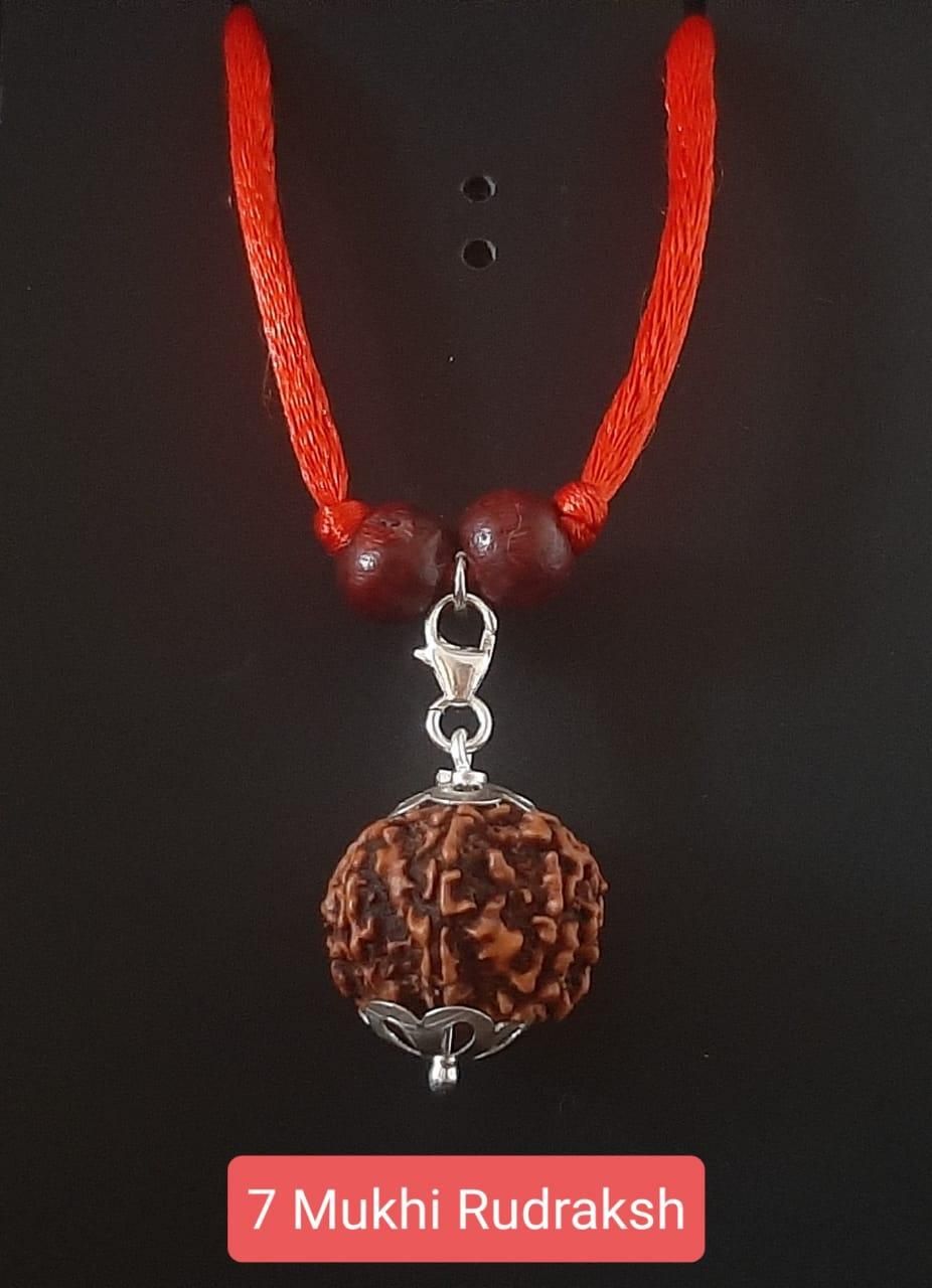 7 Mukhi Rudraksha Silver Capped Pendant LASATECH