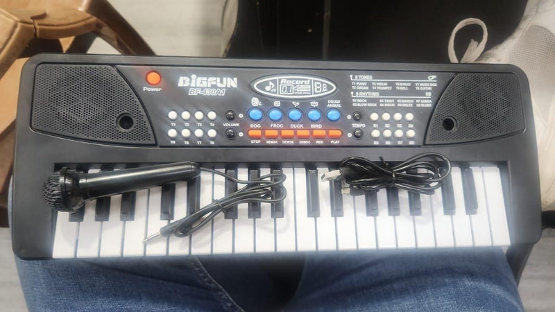 37 Keys Piano Keyboard Toy with Microphone, USB Power Cable & Sound Recording Function Analog Portable Keyboard LASATECH
