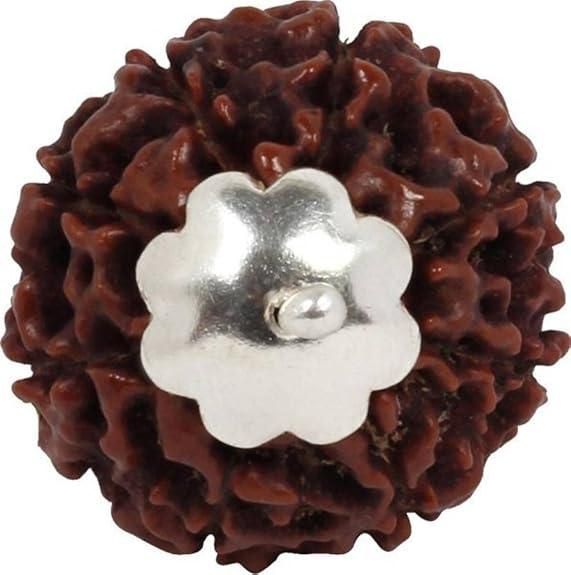 7 Mukhi Rudraksha Silver Capped Pendant LASATECH