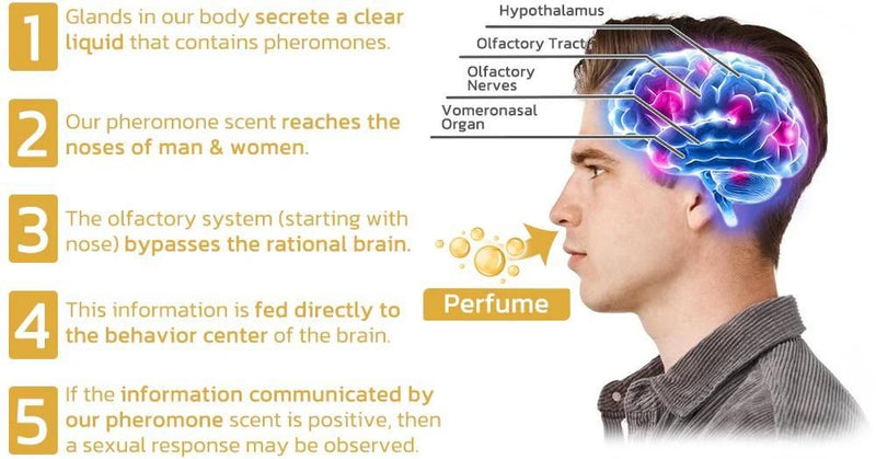 Scientifically Verified and Proven Effective Dopamine Ring LASATECH