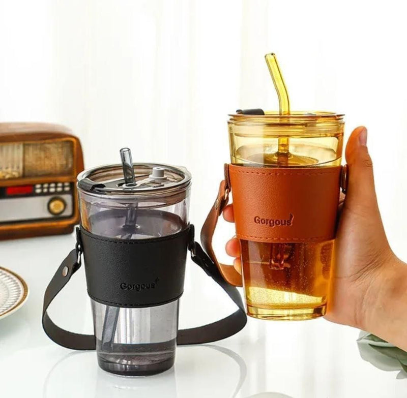 Glass Tumbler with Glass Straw and Lid LASATECH